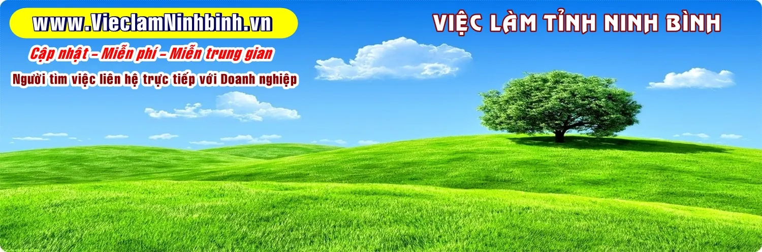 Logo Việc làm Ninh Bình - Kênh tuyển dụng uy tín